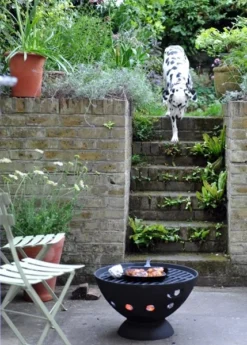 Cast Iron Fire Pit With Grill 13 Cast Iron Fire Pit With Grill -Cheap Plants Store pr2000019246 card7 lg