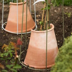 Cheap Plants Store -Cheap Plants Store pr2000020697 card2 lg