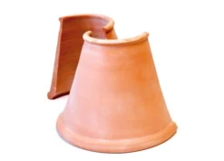 Clematis Root Protector -Cheap Plants Store pr2000020697 card6 lg