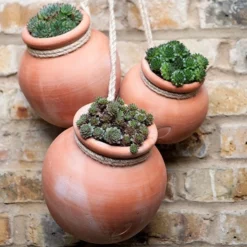 Terracotta Babylon Hanging Pot -Cheap Plants Store pr2000023695 card4 lg