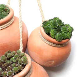 Terracotta Babylon Hanging Pot -Cheap Plants Store pr2000023695 card5 lg