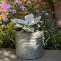 Galvanised Planter With Handles 6 Galvanised Planter With Handles -Cheap Plants Store pr2000026340 card3 lg