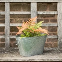 Galvanised Metal Trough 9 Galvanised Metal Trough -Cheap Plants Store pr2000026345 card5 lg