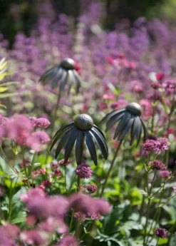 Echinacea Plant Stake - Antique Bronze -Cheap Plants Store pr2000026357 card8 lg