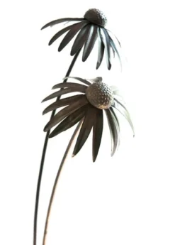 Echinacea Plant Stake - Antique Bronze -Cheap Plants Store pr2000026357 card9 lg