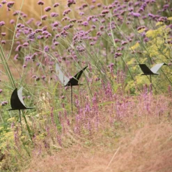 Silhouette Flying Bird