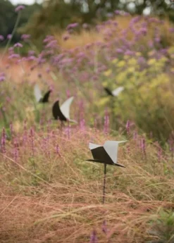 Silhouette Flying Bird -Cheap Plants Store pr2000026361 card4 lg