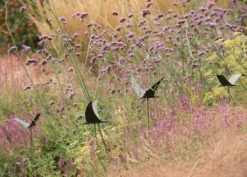 Silhouette Flying Bird -Cheap Plants Store pr2000026361 card5 lg