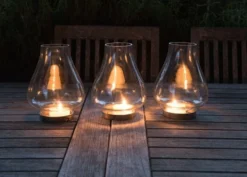 Tulip Hurricane Lantern 9 Tulip Hurricane Lantern -Cheap Plants Store pr2000026365 card3 lg