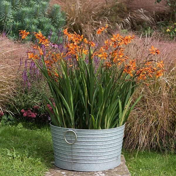 Ribbed Galvanised Tub 2 Ribbed Galvanised Tub - Image 2