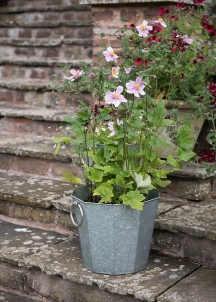 Faceted Galvanised Planter 2 Faceted Galvanised Planter - Image 2