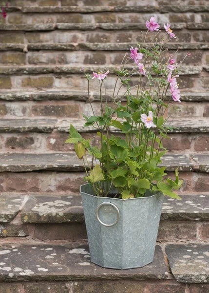 Faceted Galvanised Planter 3 Faceted Galvanised Planter - Image 3