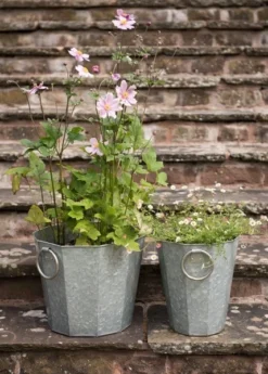 Faceted Galvanised Planter 14 Faceted Galvanised Planter -Cheap Plants Store pr2000027856 card5 lg