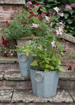 Faceted Galvanised Planter 15 Faceted Galvanised Planter -Cheap Plants Store pr2000027856 card6 lg