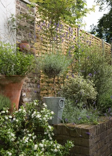 Faceted Galvanised Planter 9 Faceted Galvanised Planter - Image 9