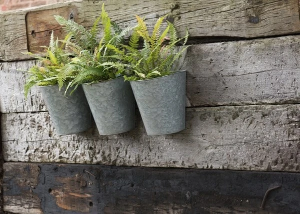 Galvanised Wall Planters - Set Of 3 2 Galvanised Wall Planters - Set Of 3 - Image 2