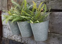 Galvanised Wall Planters - Set Of 3 9 Galvanised Wall Planters - Set Of 3 -Cheap Plants Store pr2000027861 card3 lg