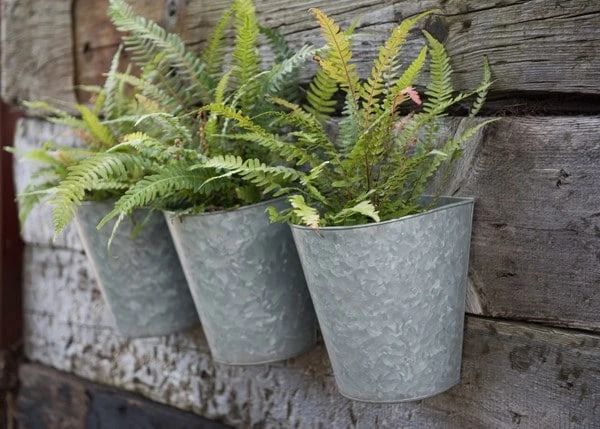 Galvanised Wall Planters - Set Of 3 3 Galvanised Wall Planters - Set Of 3 - Image 3