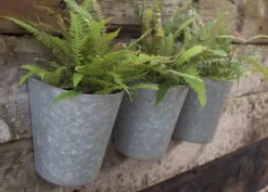 Galvanised Wall Planters - Set Of 3 12 Galvanised Wall Planters - Set Of 3 -Cheap Plants Store pr2000027861 card6 lg