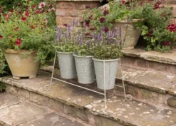 Three Galvanised Pots And Stand 8 Three Galvanised Pots And Stand -Cheap Plants Store pr2000027863 card4 lg