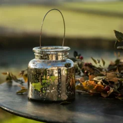 Mercury Glass Jar Lantern -Cheap Plants Store pr2000027869 card6 lg