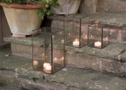 Candle Lantern -Cheap Plants Store pr2000027870 card4 lg