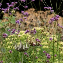 Flower Stake Tealight Holder -Cheap Plants Store pr2000027887 card7 lg