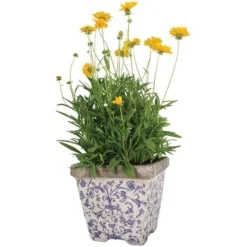 Aged Ceramic Flower Pots - Set Of 3 5 Aged Ceramic Flower Pots - Set Of 3 -Cheap Plants Store pr2000028008 card3 lg