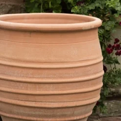 Fraska Terracotta Pot -Cheap Plants Store pr2000028347 card3 lg