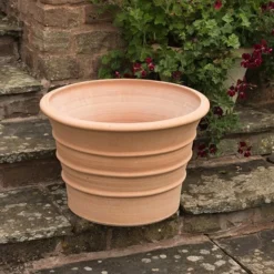 Monachou Fardipati Terracotta Pot -Cheap Plants Store pr2000028348 card5 lg