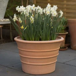 Monachou Fardipati Terracotta Pot -Cheap Plants Store pr2000028348 card7 lg