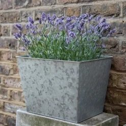 Galvanised Planter 10 Galvanised Planter -Cheap Plants Store pr2000028358 card4 lg