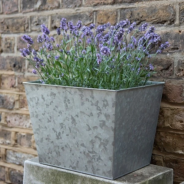 Galvanised Planter 4 Galvanised Planter - Image 4