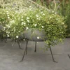 Sphere Planter With Stand