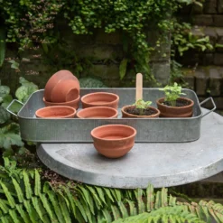 Terracotta Grow Pots - Set Of 8 With Tray -Cheap Plants Store pr2000028372 card3 lg