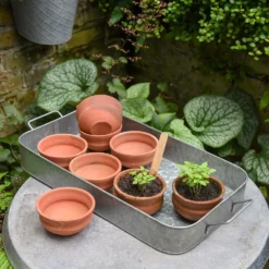 Terracotta Grow Pots - Set Of 8 With Tray -Cheap Plants Store pr2000028372 card4 lg