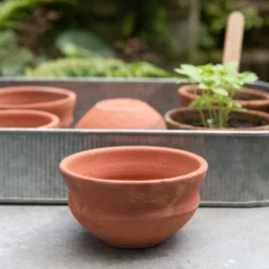 Terracotta Grow Pots - Set Of 8 With Tray -Cheap Plants Store pr2000028372 card5 lg