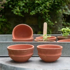 Terracotta Grow Pots - Set Of 8 With Tray -Cheap Plants Store pr2000028372 card6 lg
