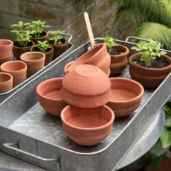 Terracotta Grow Pots - Set Of 8 With Tray -Cheap Plants Store pr2000028372 card7 lg