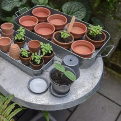 Terracotta Grow Pots - Set Of 8 With Tray -Cheap Plants Store pr2000028372 card8 lg