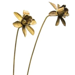 Daffodil Flower Stake - Antique Brass -Cheap Plants Store pr2000028377 card6 lg