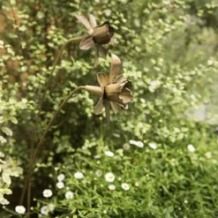 Daffodil Flower Stake - Antique Brass -Cheap Plants Store pr2000028377 card7 lg