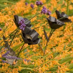 Poppy Flower Stake -Cheap Plants Store pr2000028381 card6 lg