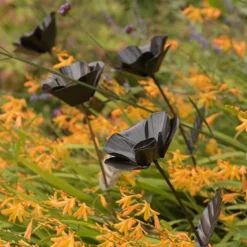 Poppy Flower Stake -Cheap Plants Store pr2000028381 card7 lg