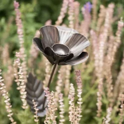 Poppy Flower Stake -Cheap Plants Store pr2000028381 card8 lg