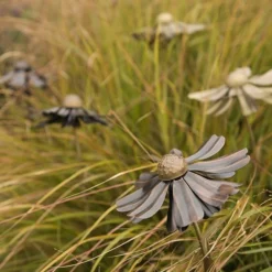 Helenium Flower Stake 19 Helenium Flower Stake -Cheap Plants Store pr2000028383 card10 lg