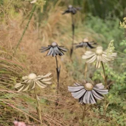 Helenium Flower Stake 13 Helenium Flower Stake -Cheap Plants Store pr2000028383 card4 lg