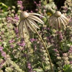 Echinacea Plant Stake - Antique Brass -Cheap Plants Store pr2000028406 card6 lg