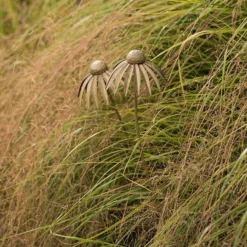 Echinacea Plant Stake - Antique Brass -Cheap Plants Store pr2000028406 card7 lg