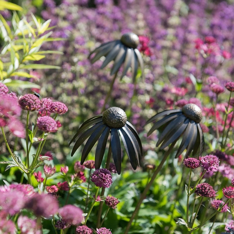 Echinacea Plant Stake - Antique Pewter 1 Echinacea Plant Stake - Antique Pewter